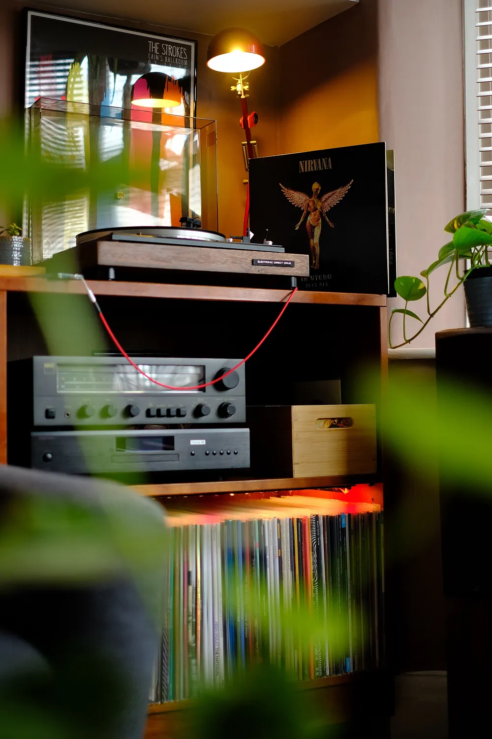 Detail photograph from the In Utero vinyl artwork
