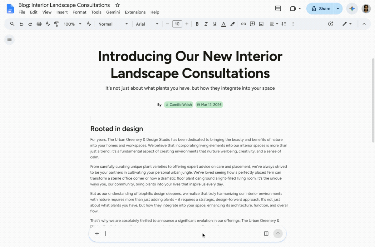 Google Docs interface using Gemini to generate and edit an infographic beside document text