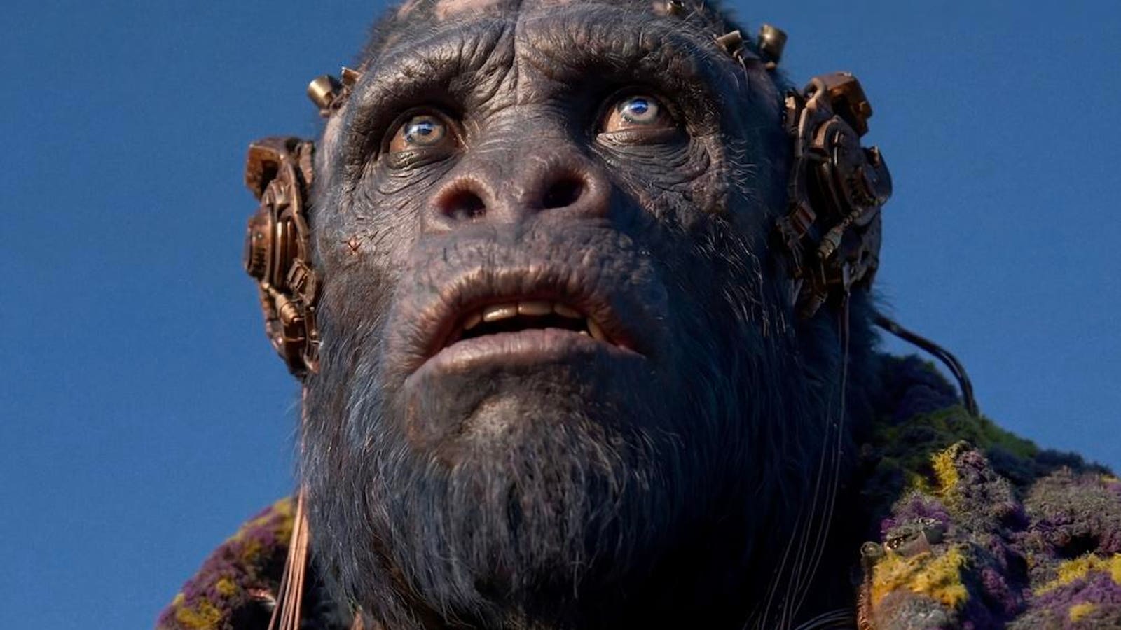 Close-up of a cybernetic ape from the official Gods Don’t Give Gifts film artwork