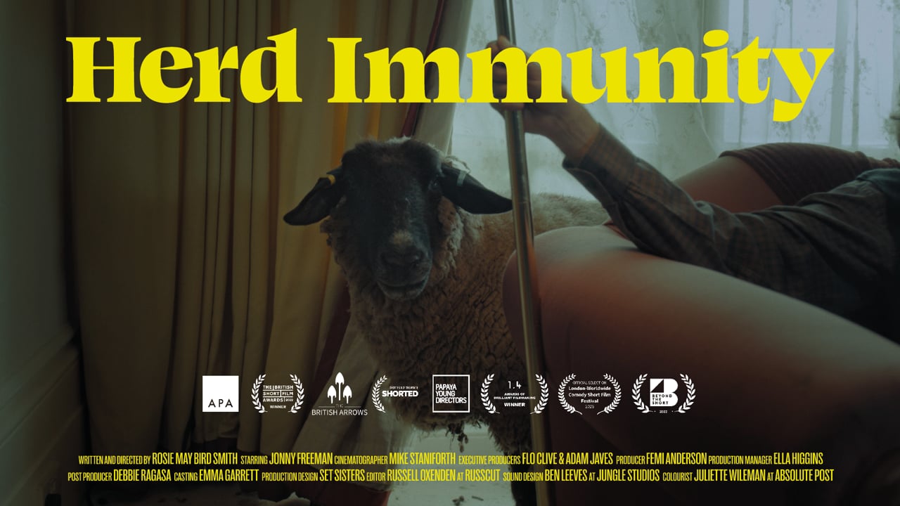 Herd Immunity still